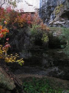 <b>Grotto in the Rain</b><br> I went back to the grotto in the rain to get this picture. 10/22/10