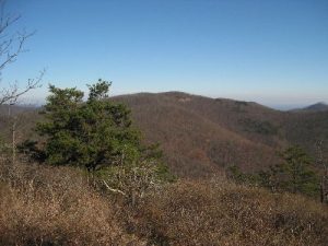 Appalachian Trail (WLT)