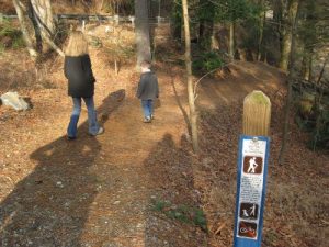 <b>Leaving The Beach Area</b><br> The trail passes the beach area then hugs a lightly forested area near the damn.