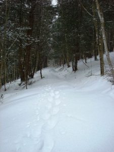 <b>The Trail</b><br> The snow deepens. When it was all said and done, we were probably hiking in snow 14 to 16 inches deep.