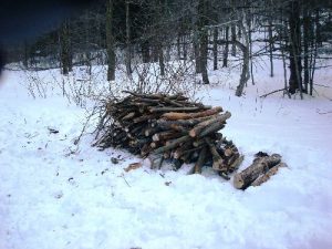 <b>Firewood</b><br> It was a lot of effort to cut this much firewood, but it was well worth it. The fire lasted us for at least three hours.