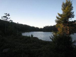 <b>Crane Mt Pond</b><br> Crane Mt Pond