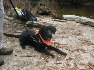 <b>And The Dog....</b><br> Fun day for a family hike.