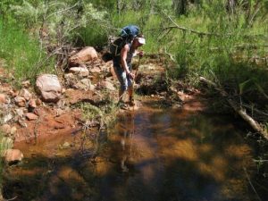 <b>Timber Creek</b><br> Usually dry by July, we found water still flowing this year. My daughter is stirring the polliwogs in this pic.