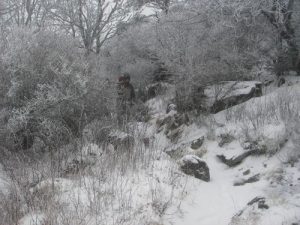 <b>Mount Rogers- Winter hike</b><br> View of the Rhododendron Gap Trail.