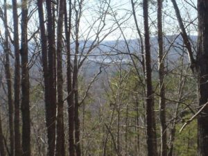 <b>Uwharrie National forest</b><br> View of Lake Tillery.