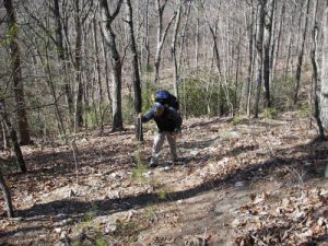 <b>Uwharrie National forest</b>