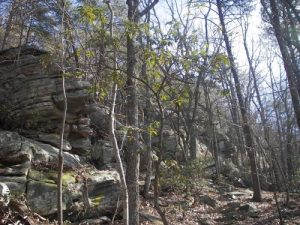 <b>Pilot Mountain</b><br> Some of the views on the Mountain Trail.