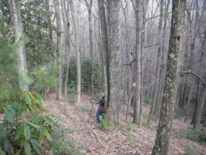 <b>Lost Cove Trail</b><br> One of the steep inclines up the Timber Ridge.