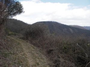 <b>Doughton Park</b><br> Bluff Mountain Trail