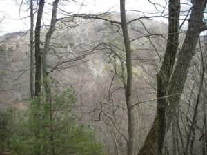 <b>Doughton Park</b><br> Bluff Mountain