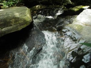 <b>Cumberland Knob Trail</b><br> One of the many small waterfalls on Gully Creek.