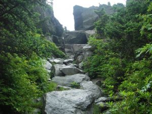 <b>Grandfather Mountain</b><br> This is the trail descending the crevice of Grandfather Mountain.