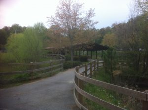 <b>Covered Picnic Area</b><br> A covered pavillion near a small pond on the Trail.