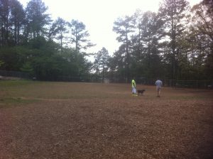 <b>The Dog Park</b><br> Only a few steps off the Trail is the East Roswell Park dog area where dogs can run free.