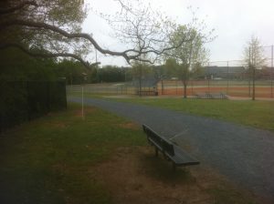 <b>Baseball Fields</b><br> And as you pass around the baseball fields, you have nearly completed the loop and arrived back at the front of the school.