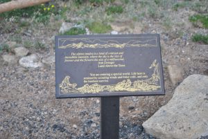 <b>tundra communities trail</b><br> this is one of the plaques located along the trail