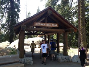 The start of the Sherman Tree Trail.