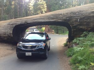 Tunnel Log