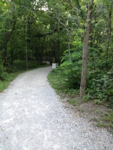 <b>Bethany Falls Trailhead</b><br> Typical of the type of trail