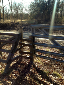 <b>Road Crossing</b><br> Cedar Creek Trail runs on a gravel road for some distance. There are multiple road crossings.