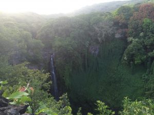 Seven Sacred Pools and Pipiwai Trail - June 14, 2014