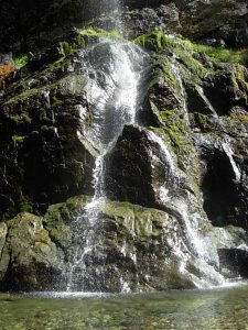 <b>Henline Falls</b>