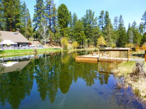 Shevlin Park – Canyon Rim Loop