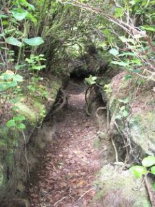 <b>Haceta Head and Hobbit Trail</b>