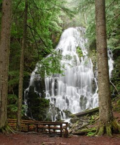 Ramona Falls Trail