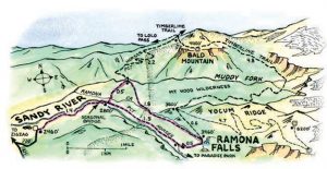 <b>Ramona Falls Trail</b>