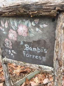 Bambi's Forrest