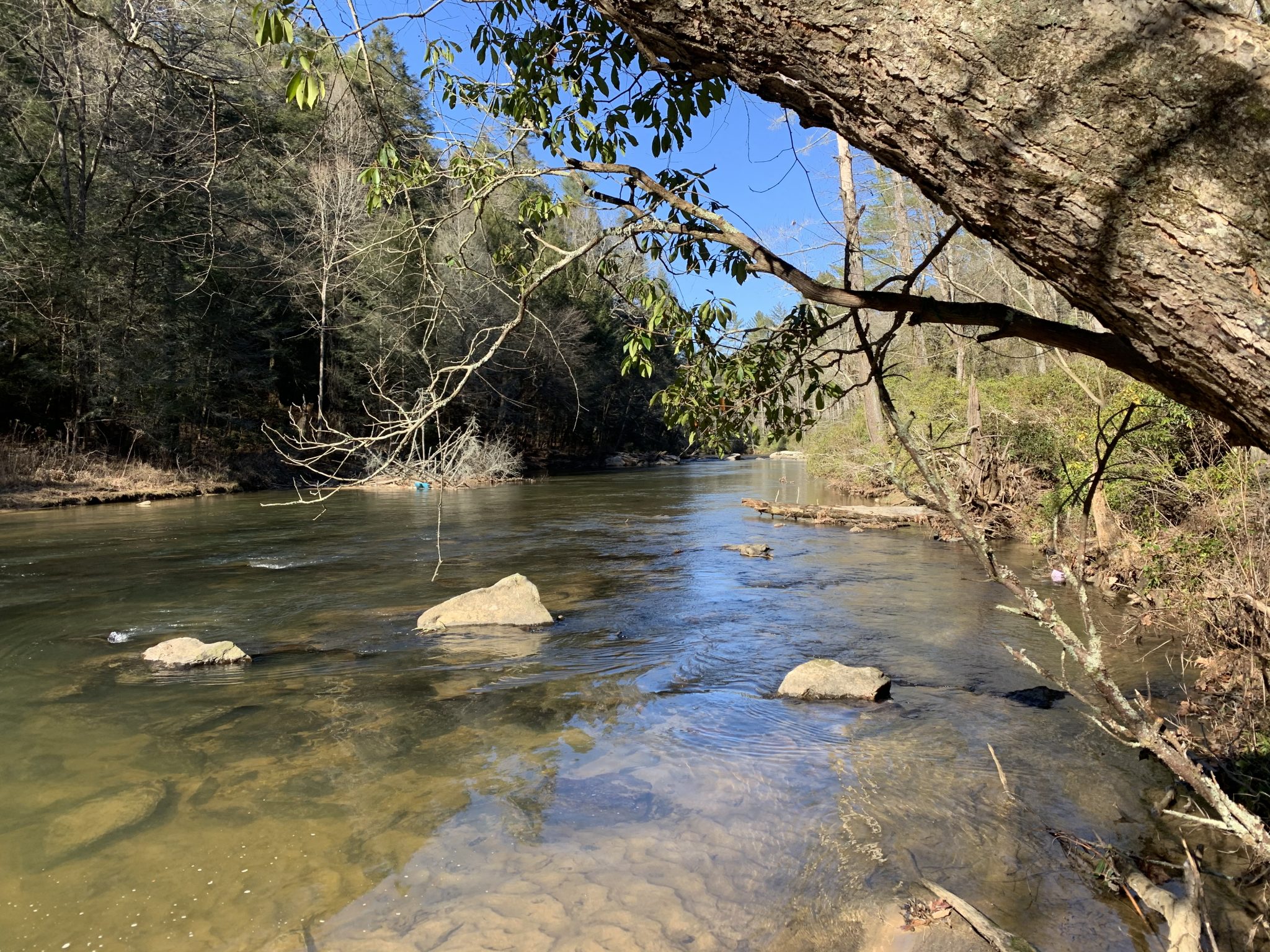 Cartecay River Member Hike YourHikes